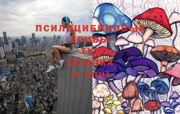 гашик Вязники