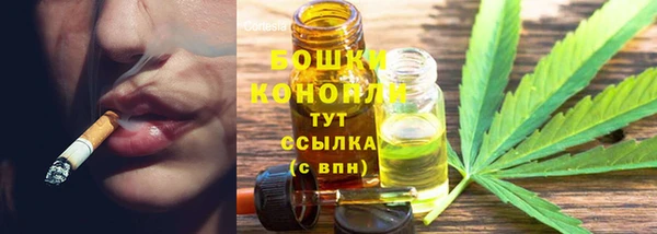 твердый Горнозаводск