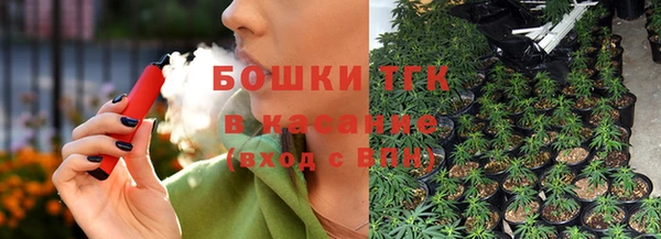 твердый Горнозаводск