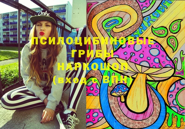 твердый Горнозаводск