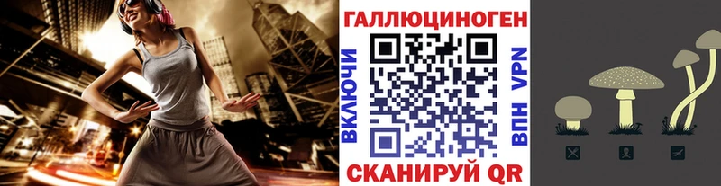 Галлюциногенные грибы Psilocybine cubensis  купить  цена  Снежинск 