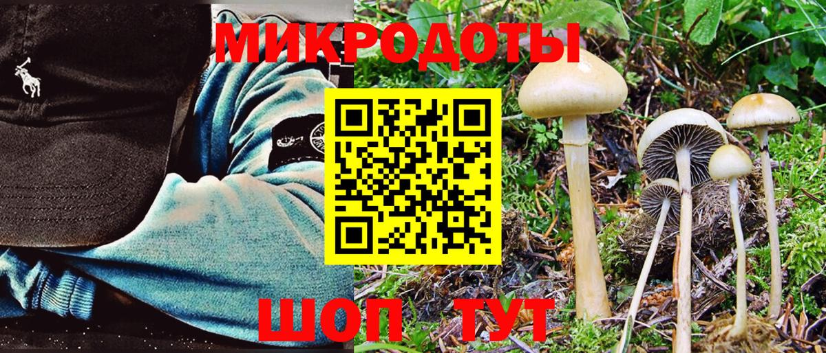 Галлюциногенные грибы Psilocybe  Вход с VPN  Снежинск 